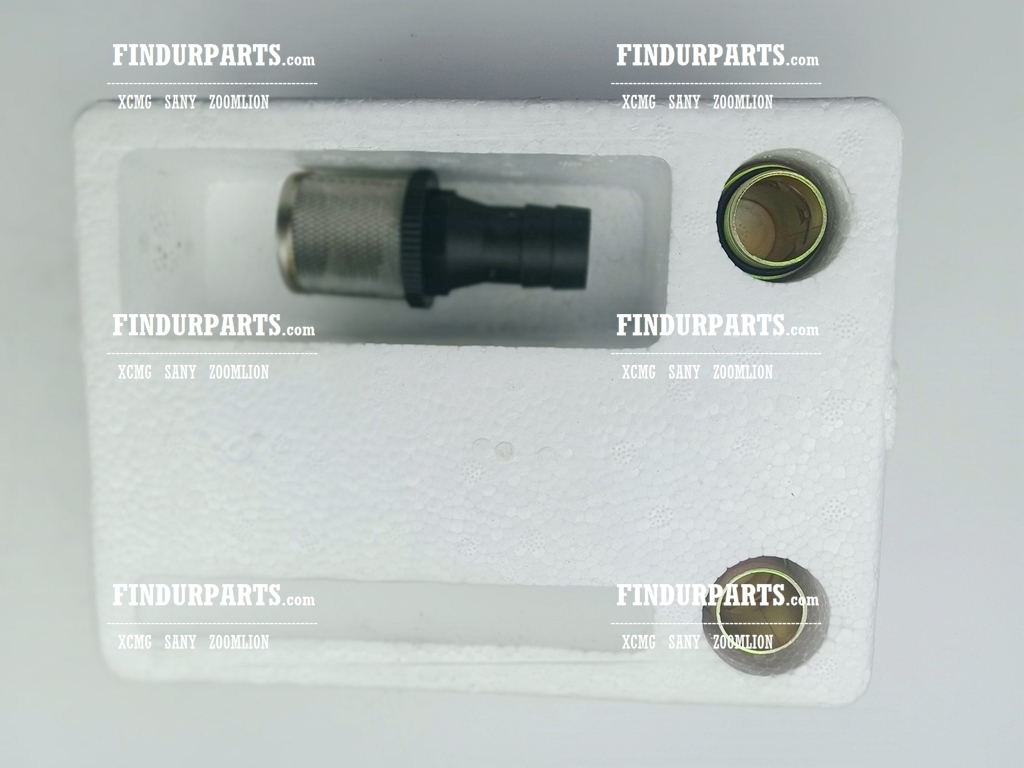 800155961 Fuel Pump for XCMG Excavator Parts XE150 XE135